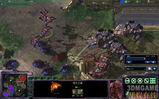 《星际争霸2》Beta战报：经典TvZ对决，揭秘战术新篇章