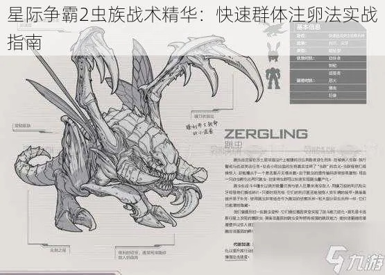 虫族BETA解析:深度揭秘全新战术与进化奥秘 虫族BETA解析:深度揭秘全新战术与进化奥秘