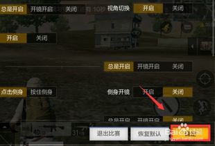 《绝地求生》视角操控秘籍：掌握第一人称视角切换技巧，提升生存率