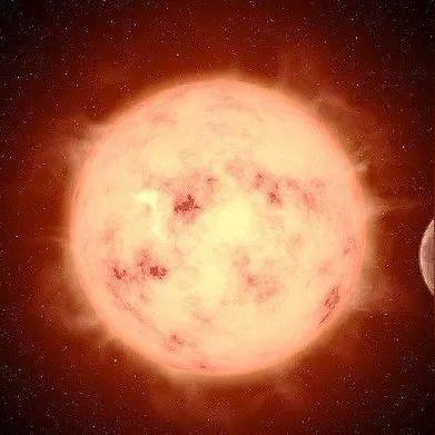 《怪物猎人世界》大小金攻略：详尽一览，怪物数据解析攻略秘籍！