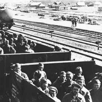 《真三国无双8》必备素材攻略：轻松购得高效战力提升秘籍