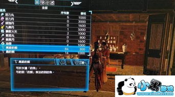 《真三国无双8》白金攻略全奖杯速成秘籍，轻松解锁成就技巧解析