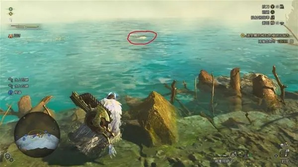 《怪物猎人世界》钓鱼攻略：揭秘珍稀鱼类藏身之地，钓点位置一网打尽