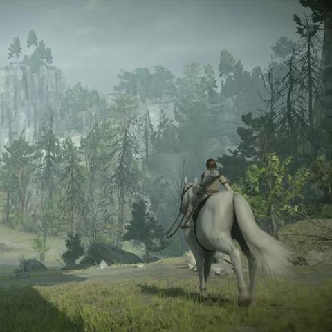 《旺达巨像攻略》全巨像挑战技巧揭秘，隐藏要素深度解析