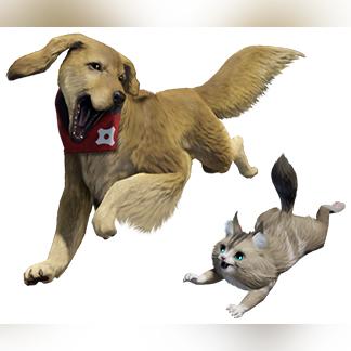 《怪物猎人世界》随从猫全装备解析+高效获取攻略,解锁最强助力! 《怪物猎人世界》随从猫全装备解析+高效获取攻略,解锁最强助力!