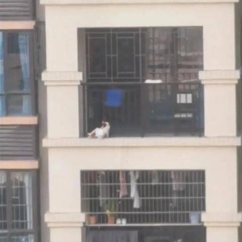 无敌蜘蛛侠,如何掌控飞檐走壁? 无敌蜘蛛侠,如何掌控飞檐走壁?