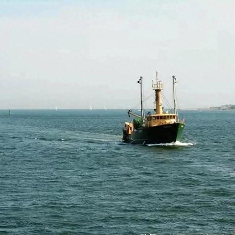 海洋之星捕鱼2南海风云下载，探秘游戏背后的乐趣与意义