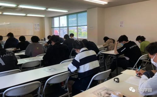 新手必看！模拟挖掘机操作攻略，轻松上手技巧大揭秘