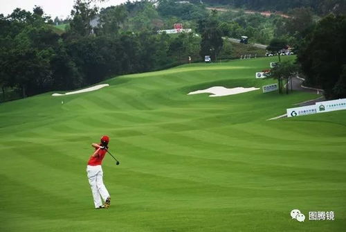 高尔夫之星攻略（球场地形对击球有什么影响）