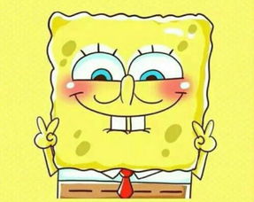 《海绵宝宝潮汐巨神》版本价格解析：揭秘最实惠的购买选择