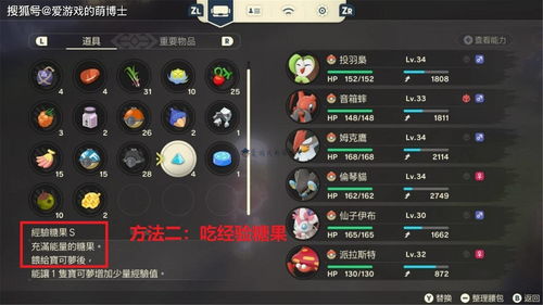 《宝可梦传说ZA》通关阵容攻略:打造最强战队,解锁隐藏秘宝 《宝可梦传说ZA》通关阵容攻略:打造最强战队,解锁隐藏秘宝