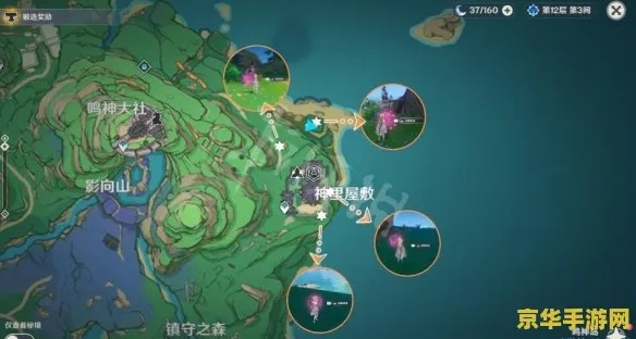 原神4.3版本绯樱绣球高效采集攻略，汇总最佳采集点揭秘