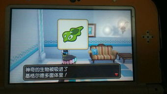 原神4.3版本柔灯铃高效采集攻略，汇总全位置解析