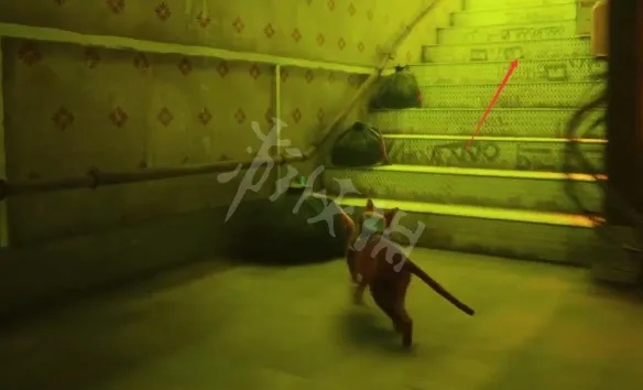 《迷失Stray》白金攻略：解锁全成就必备技巧揭秘