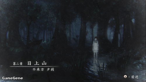 《零:濡鸦之巫女》第一章攻略:残影流程揭秘,新手必看技巧解析 《零:濡鸦之巫女》第一章攻略:残影流程揭秘,新手必看技巧解析