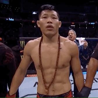 UFC 5豪华版价格揭秘：玩家必看性价比之选