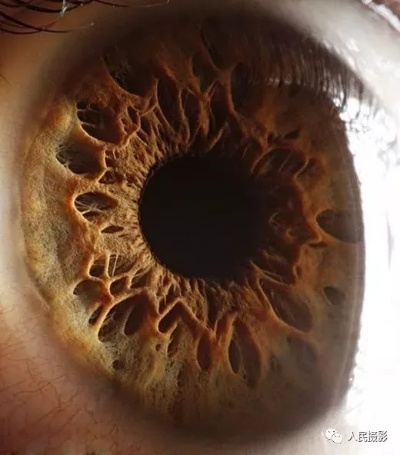 羊蹄山魂突破揭秘：瞳孔反射细节震撼，视觉盛宴新体验