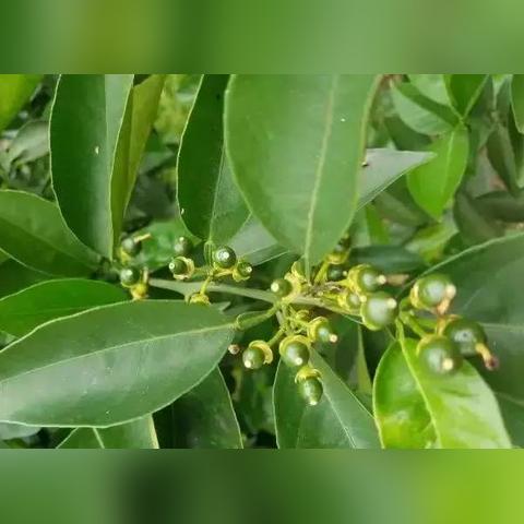 《细胞分裂2》Steam版惊爆24元特惠，限时抢购不容错过！