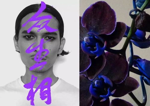 羊蹄山忠太头巾攻略：轻松解锁神秘头巾获取技巧