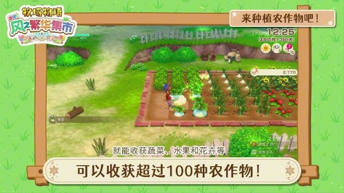 《牧场物语风之繁华集市》黑屏解决攻略：轻松解锁畅玩秘籍