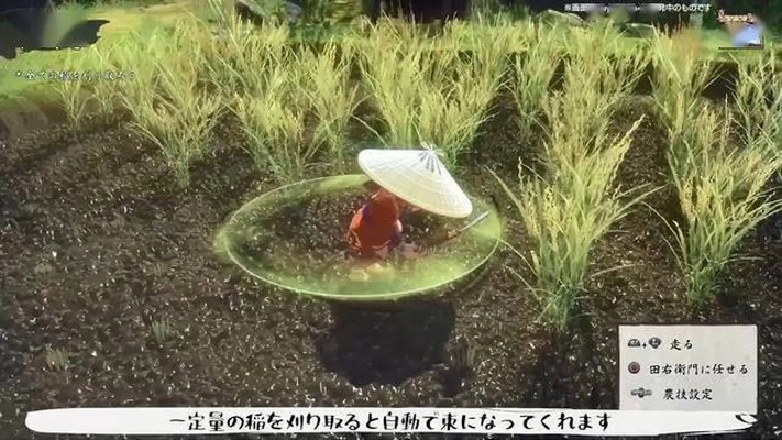 稻姬抗毒攻略:毒烟之谷奇效新解法,解锁神秘防御秘籍 稻姬抗毒攻略:毒烟之谷奇效新解法,解锁神秘防御秘籍