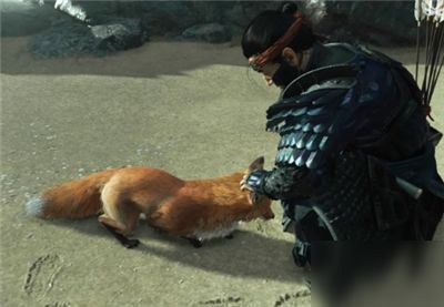 《对马岛之魂》狐狸巢穴攻略:揭秘隐藏宝藏位置 《对马岛之魂》狐狸巢穴攻略:揭秘隐藏宝藏位置