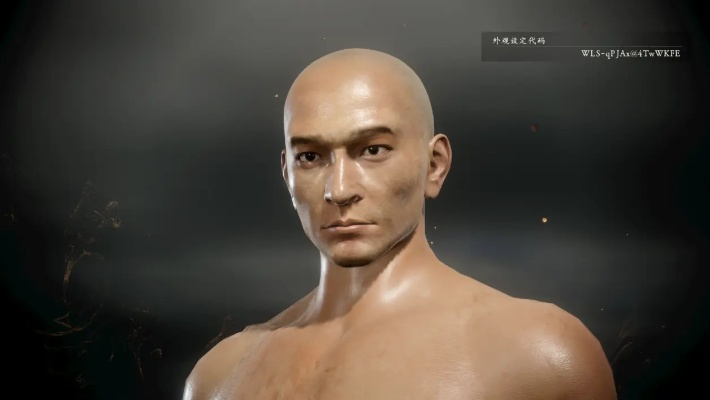 卧龙苍天陨落刘德华捏脸秘籍：独家分享，打造个性角色！