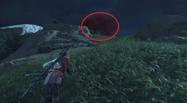 羊蹄山之魂衣蛸之策斗笠攻略：高效获取方法揭秘