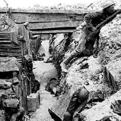 《三国志14》全政策解析:深度攻略助你称霸乱世新秘籍 《三国志14》全政策解析:深度攻略助你称霸乱世新秘籍