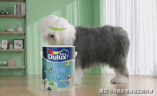 《伊苏9》攻略揭秘：苍鹰篇深度解析，掌握战斗技巧攻略