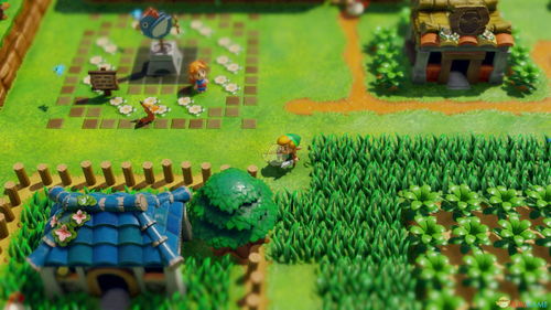 塞尔达传说织梦岛壶洞窟攻略：深度解析，解锁隐藏宝藏秘籍