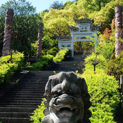 游龙柱攻略：高效使用技巧，助你轻松掌控战斗局势