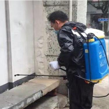 《灾后修复师》高画质必备！揭秘提升体验的黄金配置