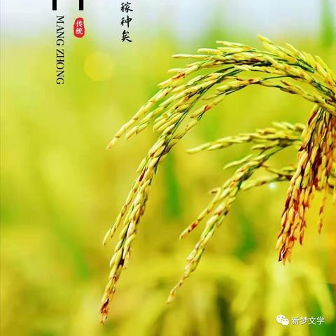 《华夏绘世录》9月29日公测开启！千年山河画卷，等你执笔描绘！