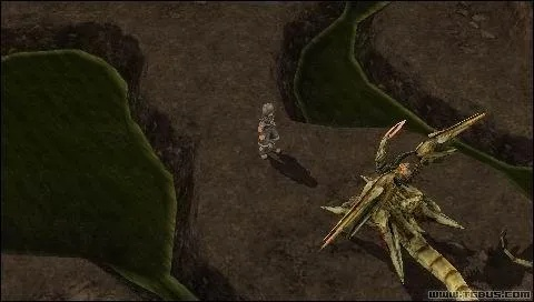 寂静岭f灵刀传说地藏秘境攻略,探秘神秘藏匿之地 寂静岭f灵刀传说地藏秘境攻略,探秘神秘藏匿之地