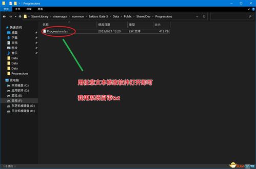 《博德之门3》UI调整攻略:轻松实现全英文界面,优化体验新高度 《博德之门3》UI调整攻略:轻松实现全英文界面,优化体验新高度