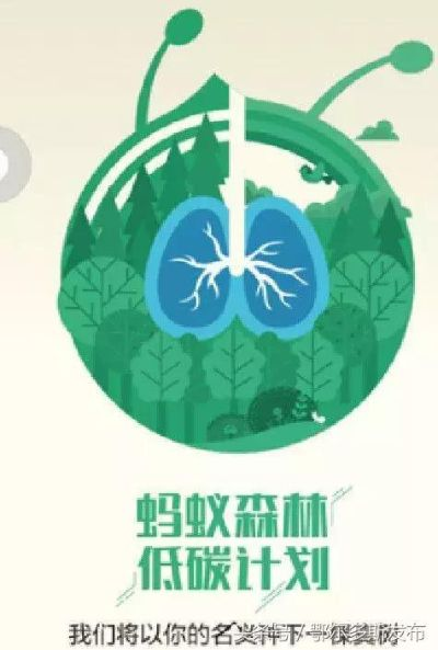 “五”限狂欢！《第五人格》携手蚂蚁森林绿色联动，开启环保新篇章