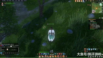 羊蹄山致盲弹攻略：高效获取方法揭秘！