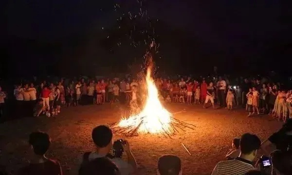 桃源秘境篝火狂欢，深度攻略助你畅玩无忧