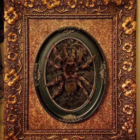 《怪物猎人荒野》蜘蛛恐惧模式攻略：开启方法揭秘，告别恐惧挑战新境界