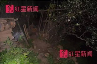 羊蹄山绑匪顺平藏身之谜，解锁悬赏任务攻略揭秘