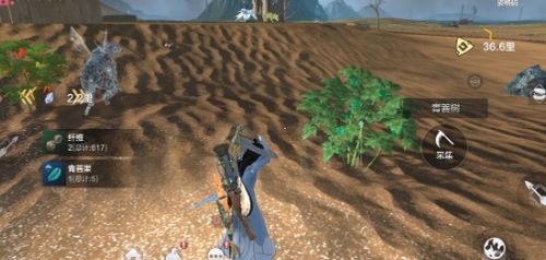 山海进化录:探秘熏华草藏匿之地,解锁神秘进化形态新篇章 山海进化录:探秘熏华草藏匿之地,解锁神秘进化形态新篇章