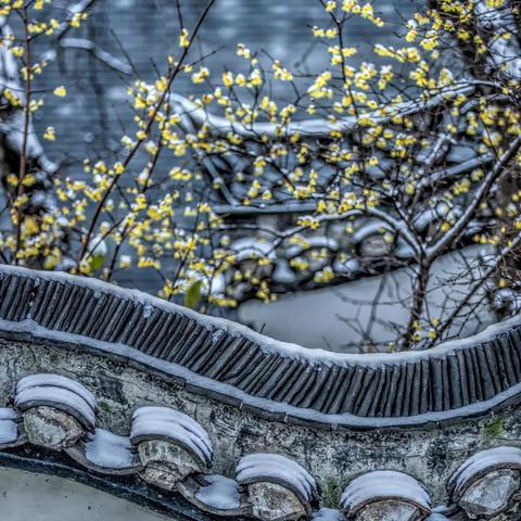 《第五人格》小寒节气活动精彩回顾：沉浸式体验，揭秘寒山万里冻月奥秘