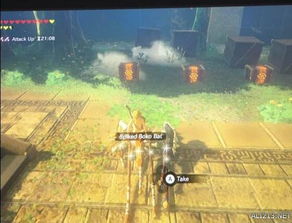 剑之试炼终章揭秘：荒野之息第十层通关攻略全解析