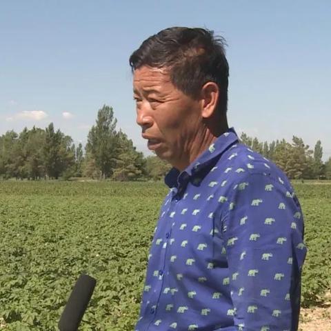 《模拟农场25》轻松切换中文教程,体验本土化游戏乐趣 《模拟农场25》轻松切换中文教程,体验本土化游戏乐趣