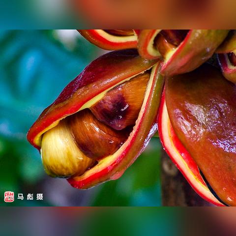 闪亮游戏畅玩必备！揭秘最低配置，轻松体验极致乐趣