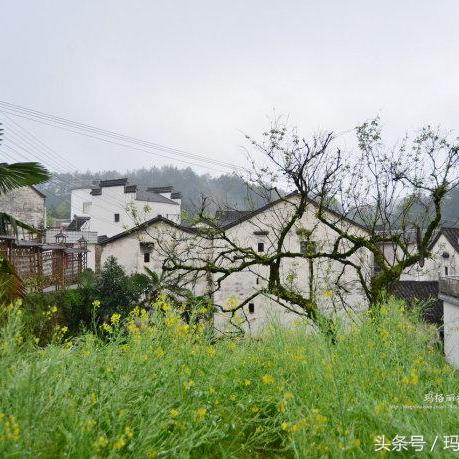 村落人生属性全面解析：解锁升级新秘籍