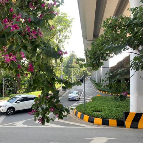 羊蹄山神庙全山位置揭秘!独家谜题解法攻略,轻松通关秘籍! 羊蹄山神庙全山位置揭秘!独家谜题解法攻略,轻松通关秘籍!