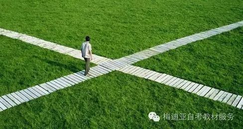 花园世界必看：优先培养选择攻略，解锁高效种植技巧