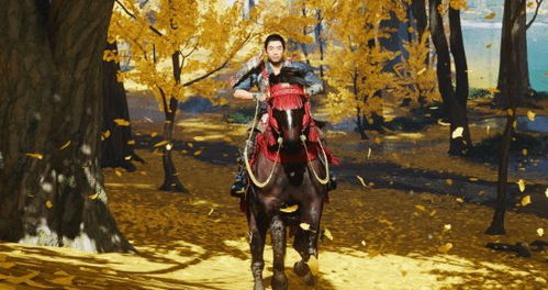 《对马岛之魂》PC版性价比之选，Steam版价格揭秘！